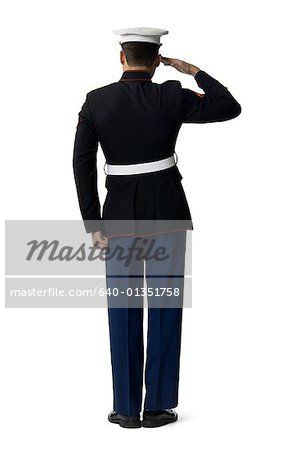 Rear view of a navy officer saluting