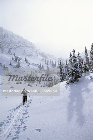 Rear view of person cross country skiing in winter on mountain trail