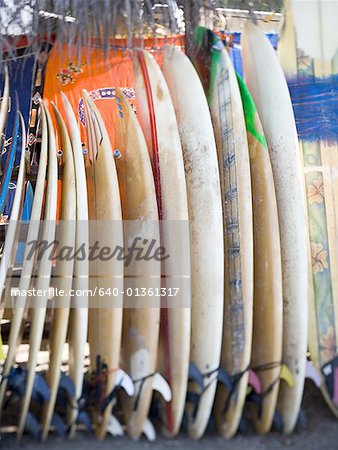 Surfboards against a wall