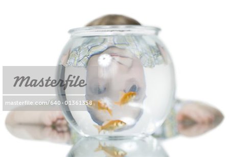 Close-up of a boy looking at goldfish in a fishbowl
