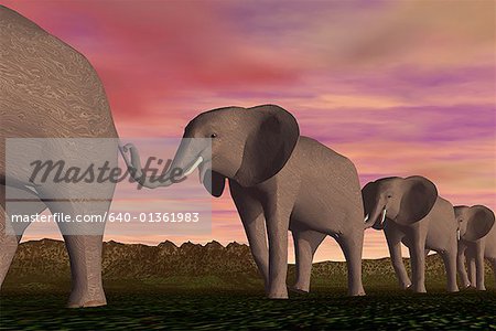 Four elephants walking in a row