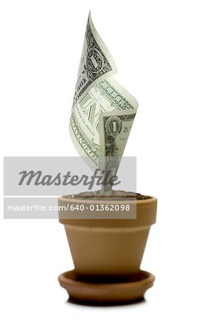 Un projet de loi d'un dollar américain de plus en plus dans un pot de fleur