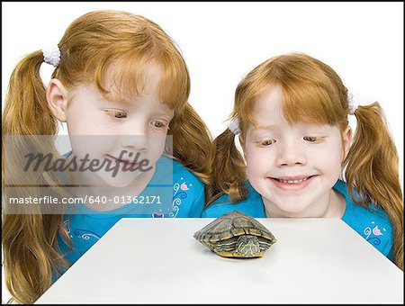 Close-up of two girls looking at a tortoise