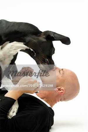 Dog Kissing Man