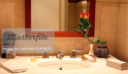 Bathroom sink Bathroom sink