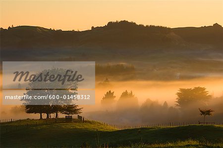 Ackerland, Te Kuiti Township, Nordinsel, Neuseeland