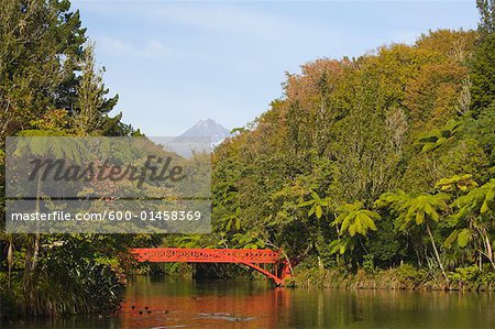 Neue Brücke, Pukekura Park, Plymouth, Nordinsel, Neuseeland