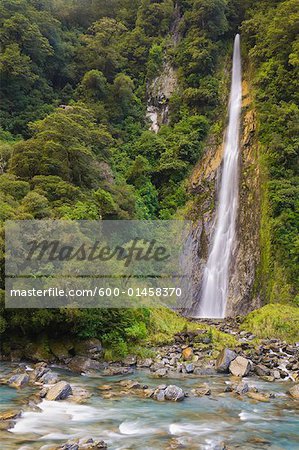 Thunder Creek Falls, Westland, South Island, Nouvelle-Zélande