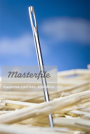 Detailed view of needle in a haystack