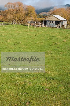 Terres agricoles, Nelson, Nouvelle-Zélande