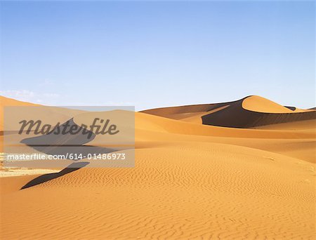 Namib desert