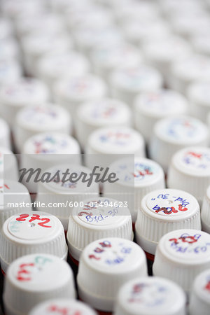 Sample Jars