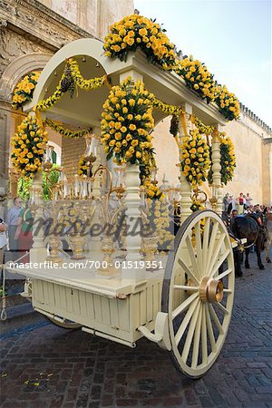 Chariot fleurie, Cordoba, Espagne