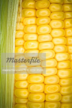 Close-up of Corn on the Cob