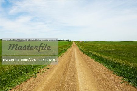 Feldweg durch Felder, North Dakota, USA