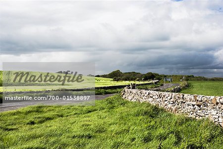 Stone Wall and Fields, Dumfries and Galloway, Scotland, United Kingdom