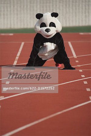 Panda accroupi sur une piste