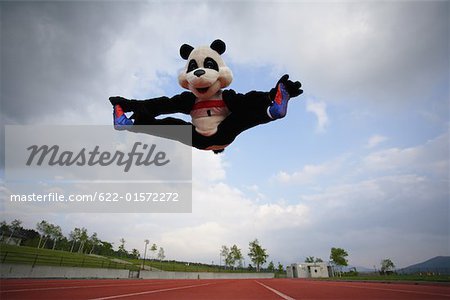 Panda Doing Jumping Splits