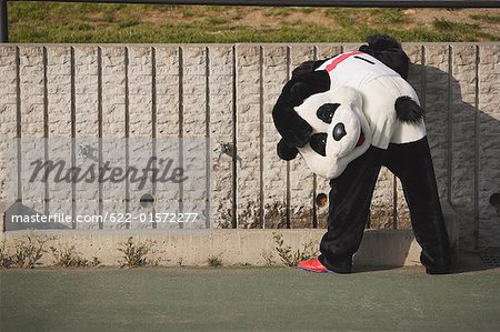 Panda Taking a Break