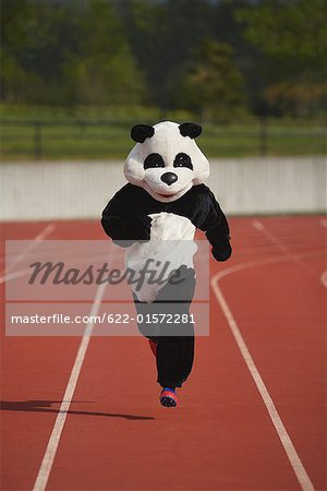 Panda sprint sur une piste