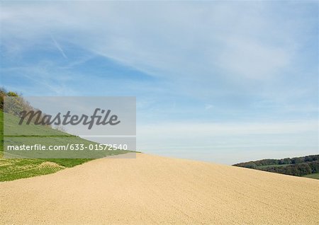 Plowed field