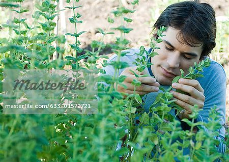 Man smelling herbs