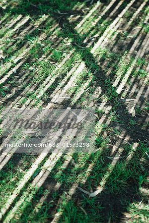 Striped shadows on ground