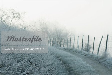 Frost bedeckt Landschaft