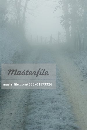 Frost covered rural road