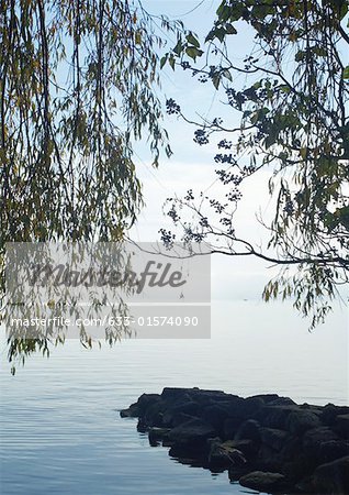 Lakescape, branches in foreground