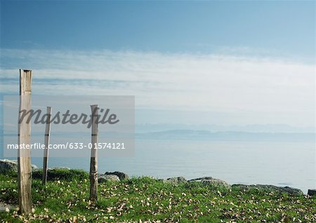 Wooden posts in grass, lake and mountains in background