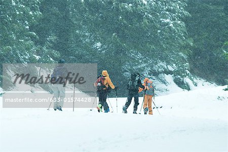 Cross-country skiers in snow