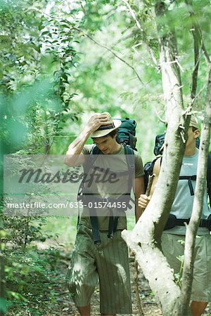 Zwei Wanderer zu Fuß durch den Wald