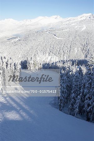 Whistler Mountain, British Columbia, Kanada