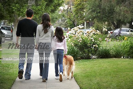 Famille chien