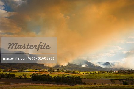 Bushfire, Finch Hatton, Pioneer Valley, Queensland, Australia