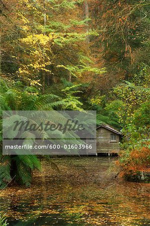 Bootshaus und See an Alfred Nikolaus Gärten, Dandenong Ranges, Victoria, Australien