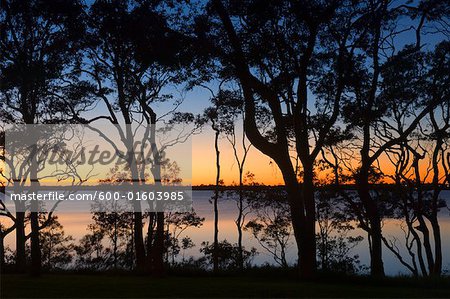 Coucher de soleil au lac Macquarie, Nouvelle-Galles du Sud, Australie