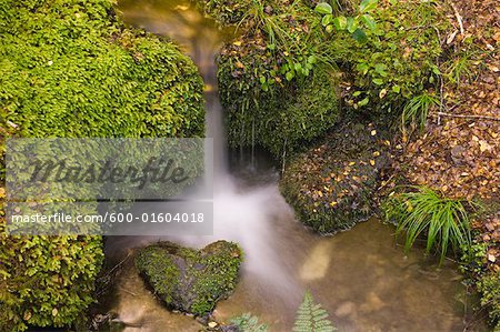 Creek, Lewis Pass, Südinsel, Neuseeland