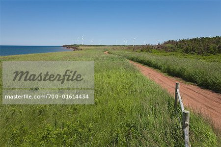 Path Leading to Wind Energy Test Site, North Cape, Prince Edward Island, Canada
