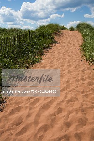 Path Leading to Beach, Prince Edward Island, Canada