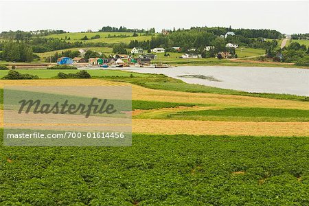 Village and French River, Queen's County, Prince Edward Island, Canada