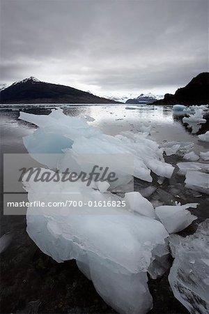 Ice Chunks in Water, Chile, Patagonia