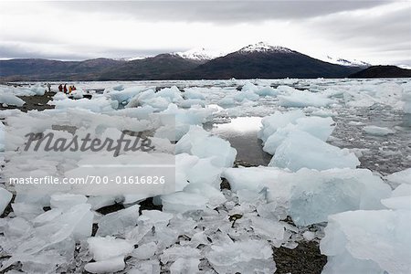 Ice Chunks on Shore, Chile, Patagonia