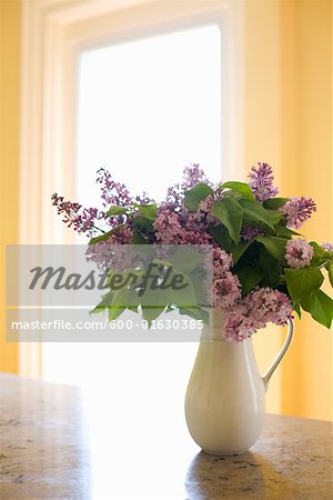 Lilacs in Pitcher on Table