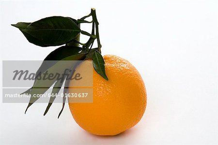 Orange with stem and leaves