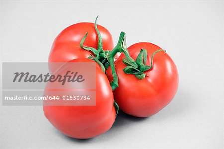 Tomates sur la vigne
