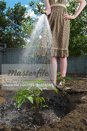 Woman Watering Garden