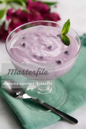 Heidelbeer-Joghurt
