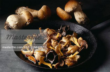 Mushroom Fricasse